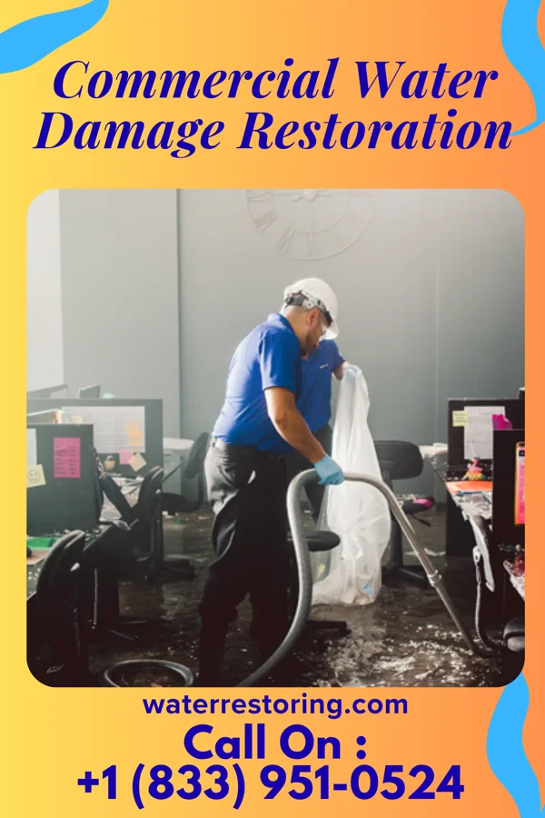 Commercial Water Damage Restoration in Oblong, IL