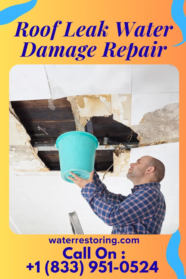 Roof Leak Water Damage Repair in Oblong, IL