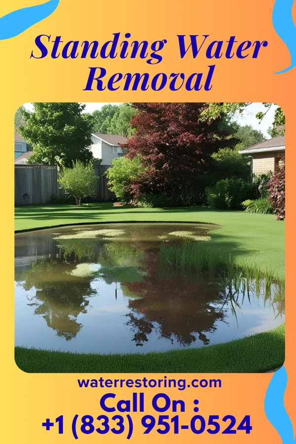 Standing Water Removal in Oblong, IL